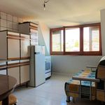 Affitto 1 camera appartamento di 40 m² in Catanzaro