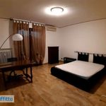 Affitto 4 camera appartamento di 135 m² in Novi di Modena