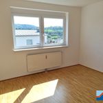 Rent 3 bedroom apartment of 75 m² in Engerwitzdorf