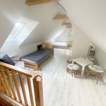 Rent 1 bedroom house of 50 m² in Těrlicko