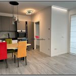 Rent 2 bedroom apartment of 48 m² in Venezia