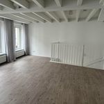 Rent 3 bedroom apartment of 131 m² in 's-Hertogenbosch