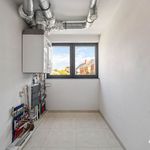 Rent 2 bedroom apartment in Beselare