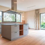 Miete 6 Schlafzimmer wohnung von 192 m² in Chemnitz