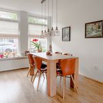 Rent 4 bedroom house of 125 m² in Haarlem