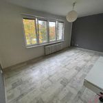 Rent 1 bedroom apartment of 31 m² in Ostrava