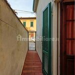 Rent 2 bedroom apartment of 45 m² in Pisa