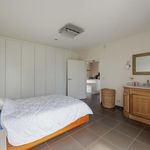 Rent 1 bedroom apartment in Kontich