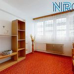 Rent 3 bedroom apartment of 56 m² in Zruč nad Sázavou