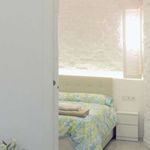 Rent 1 bedroom apartment in Madrid