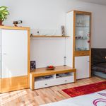 Rent 2 bedroom apartment of 60 m² in Friedrichshafen
