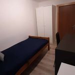 Rent a room in Łódź