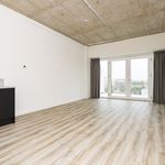 Huur 1 slaapkamer appartement van 34 m² in Schiedam