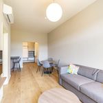 Rent 2 bedroom apartment of 43 m² in Praha