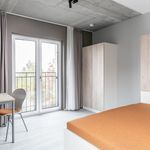 Rent 1 bedroom student apartment of 41 m² in Berlin