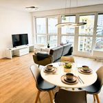 Rent 2 bedroom apartment of 125 m² in frankfurt