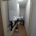 Rent 1 bedroom apartment of 500 m² in Zichovec