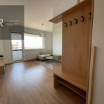 Rent 2 bedroom apartment of 48 m² in Číhošť
