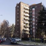 Rent 3 bedroom apartment in Cesano Boscone