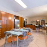 Affitto 2 camera appartamento di 120 m² in Torino