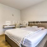Najam 4 spavaće sobe kuća od 500 m² u Zagreb