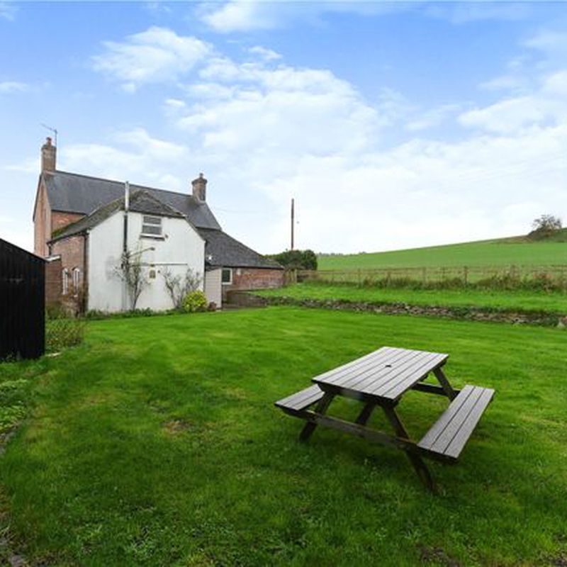 Detached house to rent in Roke Farm, Bere Regis, Wareham, Dorset BH20 Shitterton