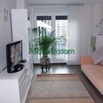 Rent 1 bedroom apartment of 60 m² in Bilbo