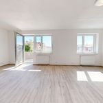 Rent 1 bedroom apartment of 44 m² in Pilsen