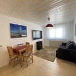 Rent 2 bedroom apartment of 40 m² in Friedrichshafen