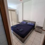 Rent 1 bedroom apartment of 60 m² in Segrate