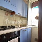 Rent 4 bedroom apartment of 80 m² in Loano