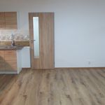 Rent 1 bedroom apartment of 39 m² in Chrastava