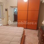Rent 3 bedroom apartment of 75 m² in Arpino