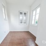 Rent 2 bedroom apartment of 49 m² in Rosheim