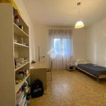 Rent 6 bedroom apartment of 130 m² in Bologna
