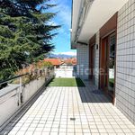 Rent 4 bedroom house of 215 m² in Borgomanero