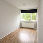Rent 3 bedroom house of 113 m² in Emmeloord