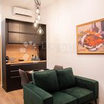 Rent 1 bedroom apartment of 24 m² in Rijeka