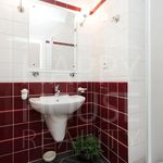 Rent 1 bedroom apartment of 250 m² in Praha