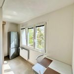 Rent 1 bedroom apartment in Pilsen