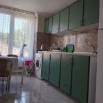 Rent 2 bedroom apartment of 100 m² in Çamlık