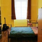 Rent 2 bedroom apartment of 43 m² in Pécs