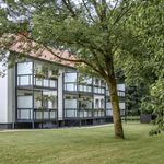 Rent 2 bedroom apartment of 41 m² in Gelsenkirchen