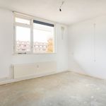 Rent 2 bedroom apartment of 84 m² in Bussum