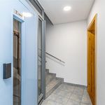 Rent 1 bedroom apartment of 31 m² in Praha