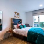Rent 1 bedroom student apartment of 26 m² in Dublin