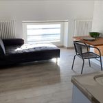 Rent 1 bedroom apartment of 16 m² in AUBENAS