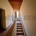 Rent 5 bedroom house of 240 m² in San Giorgio Bigarello