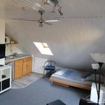 Rent 1 bedroom apartment of 24 m² in Ehra-Lessien