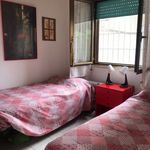 Rent 3 bedroom apartment of 60 m² in San Pietro di Cadore